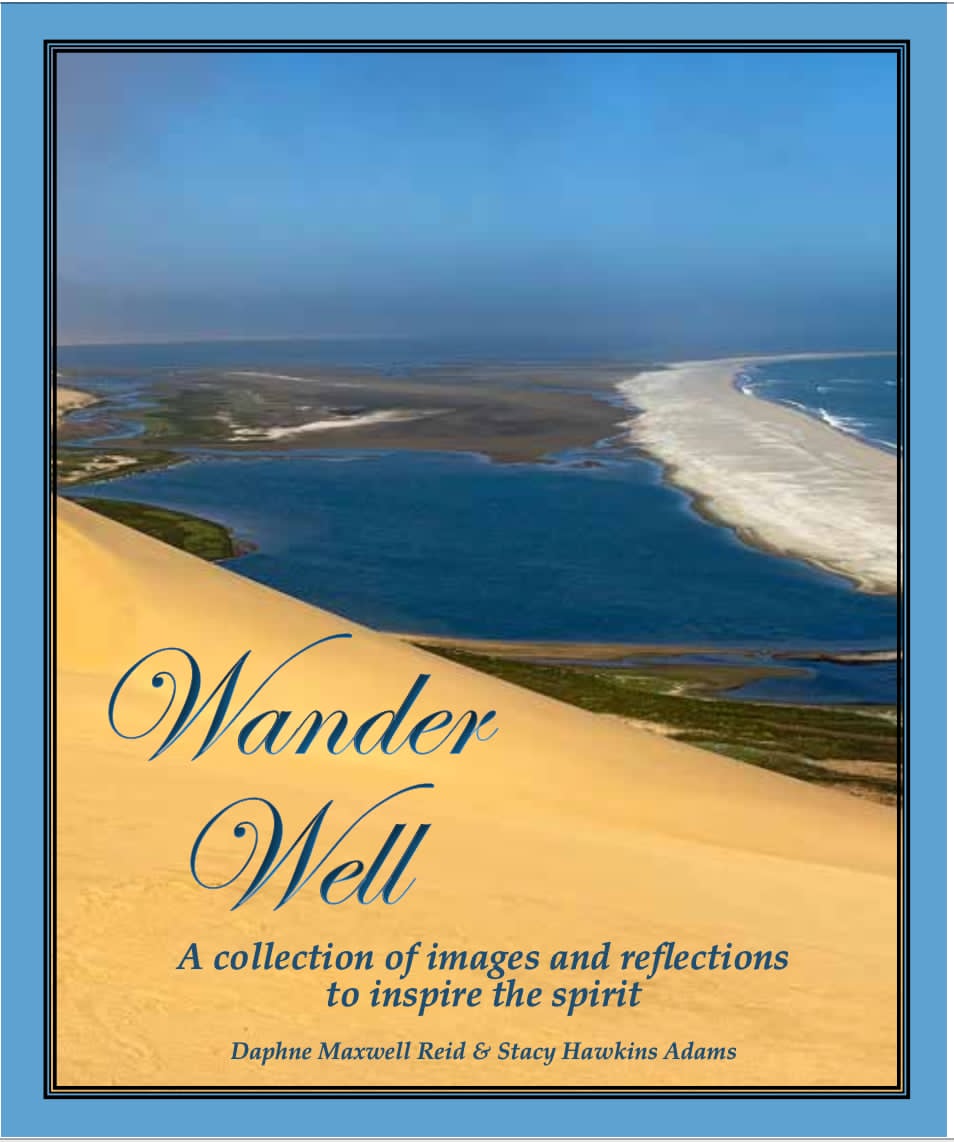 Wander Well cover